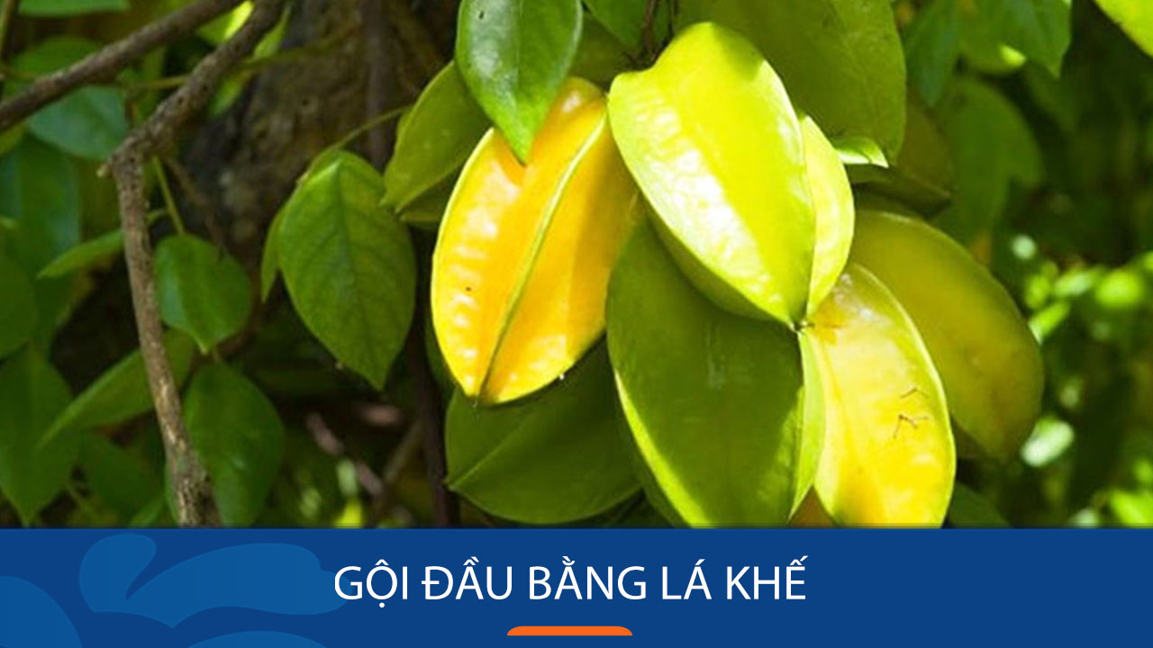 gội đầu bằng nước khế chua