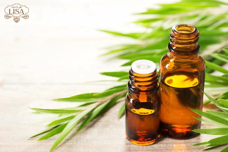 Tinh dầu tràm trà (Tea Tree)