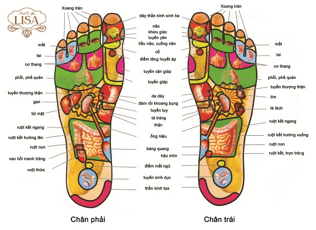 Xác Định Vị Trí Huyệt Đạo
