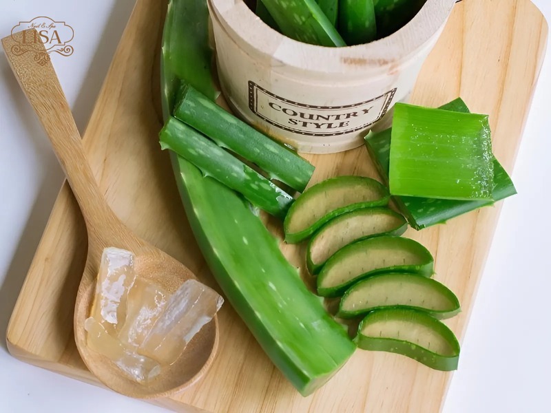 Cách chữa nứt chân bằng nha đam