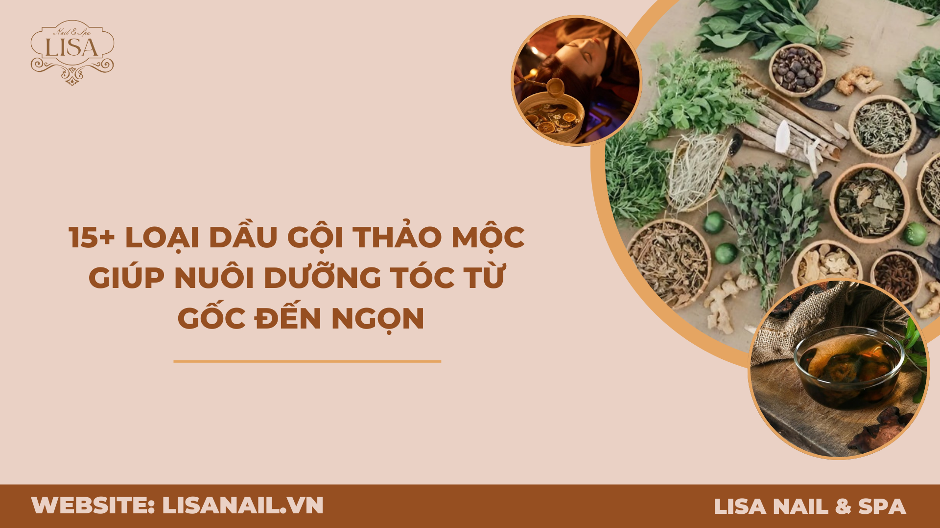15+ Loại dầu gội thảo mộc giúp nuôi dưỡng tóc từ gốc đến ngọn