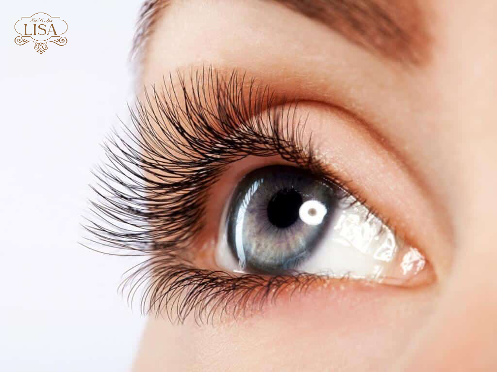 Nối mi dưới thường xuyên