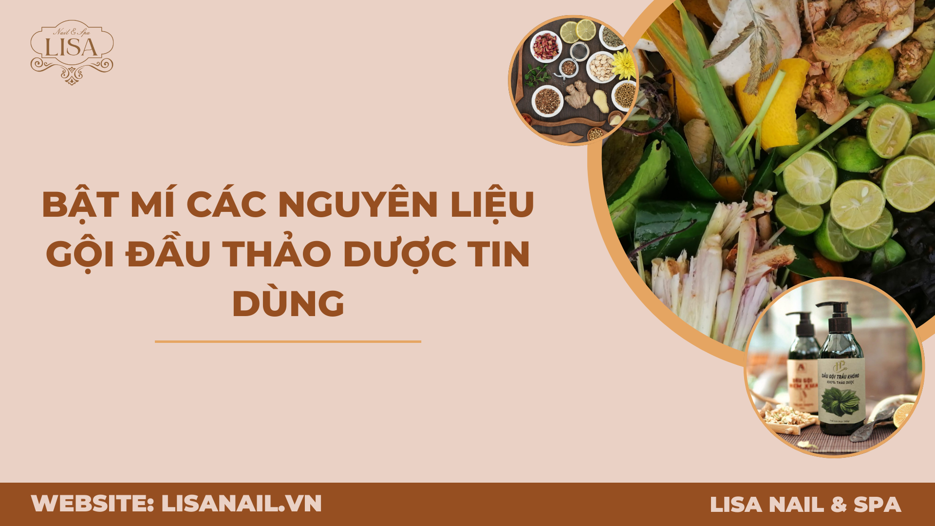 Bật mí các nguyên liệu gội đầu thảo dược tin dùng