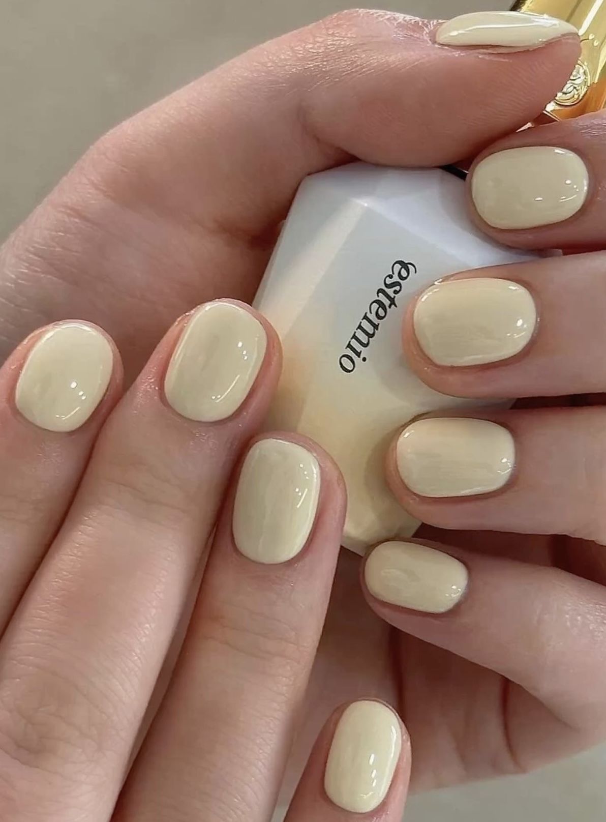 nail gel là gì
